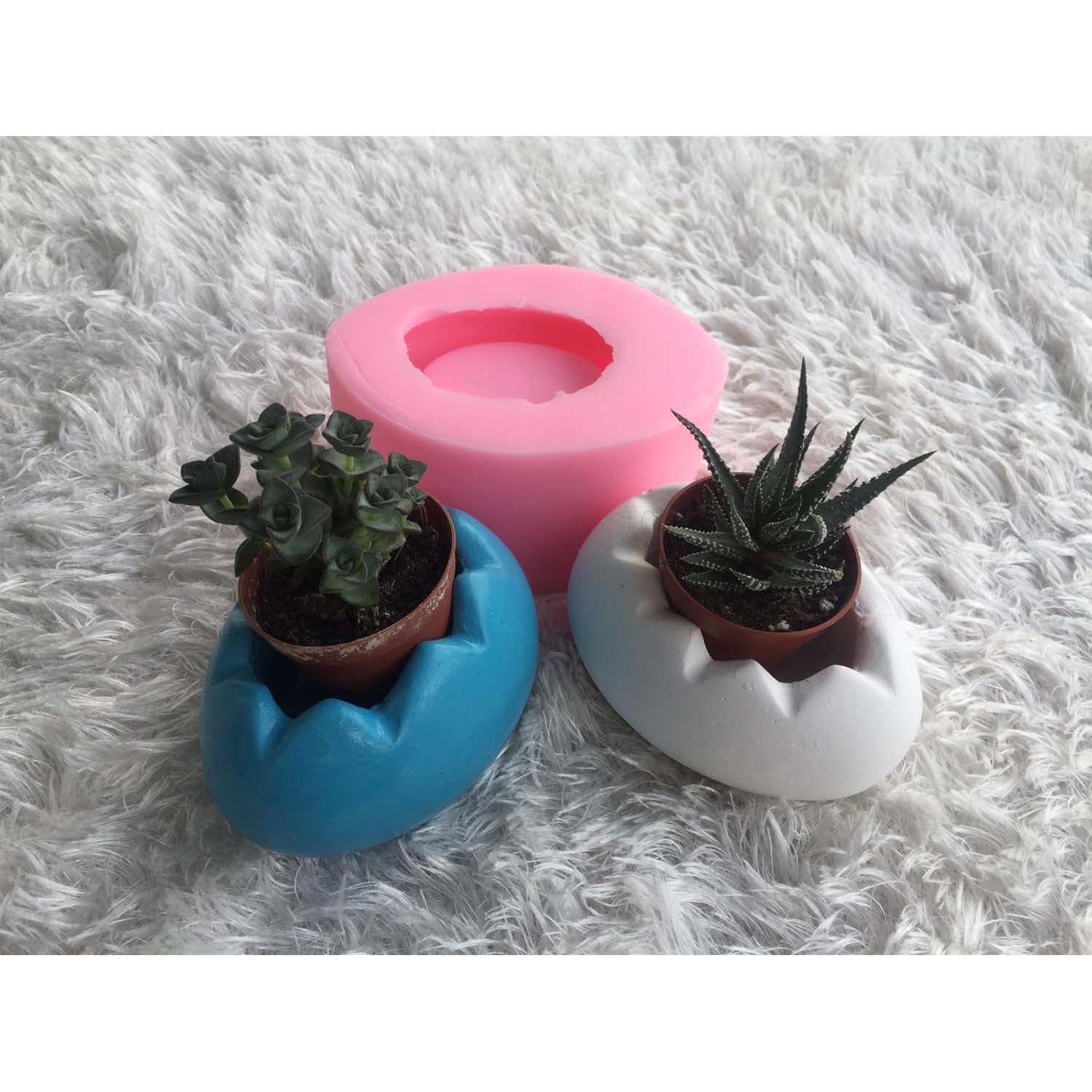 HD1279 Yumurta Sukulent Saksı